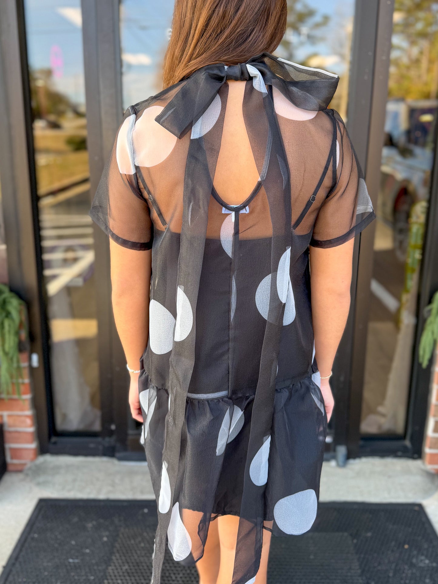 Sheer Polka Dot Mini Dress