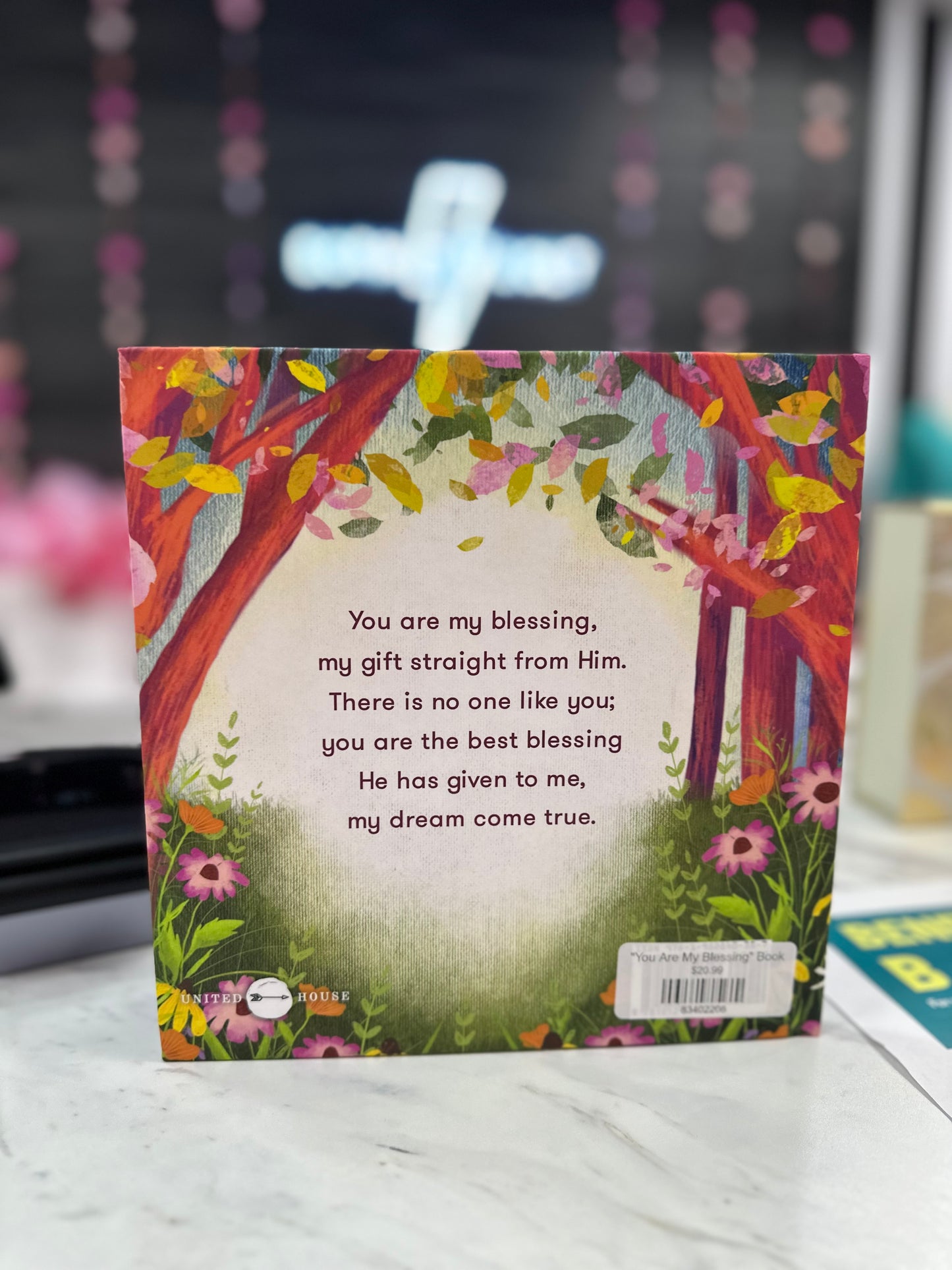 "You Are My Blessing" Book