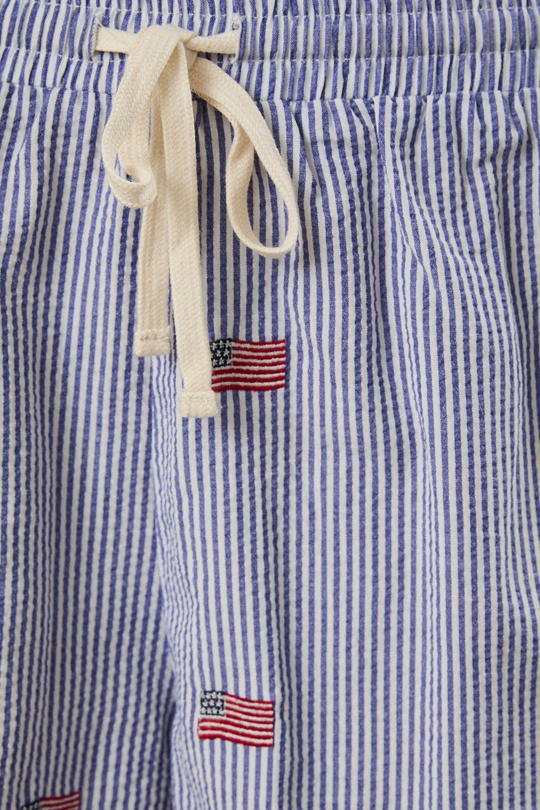 Stripe Flag Embroidered Shorts