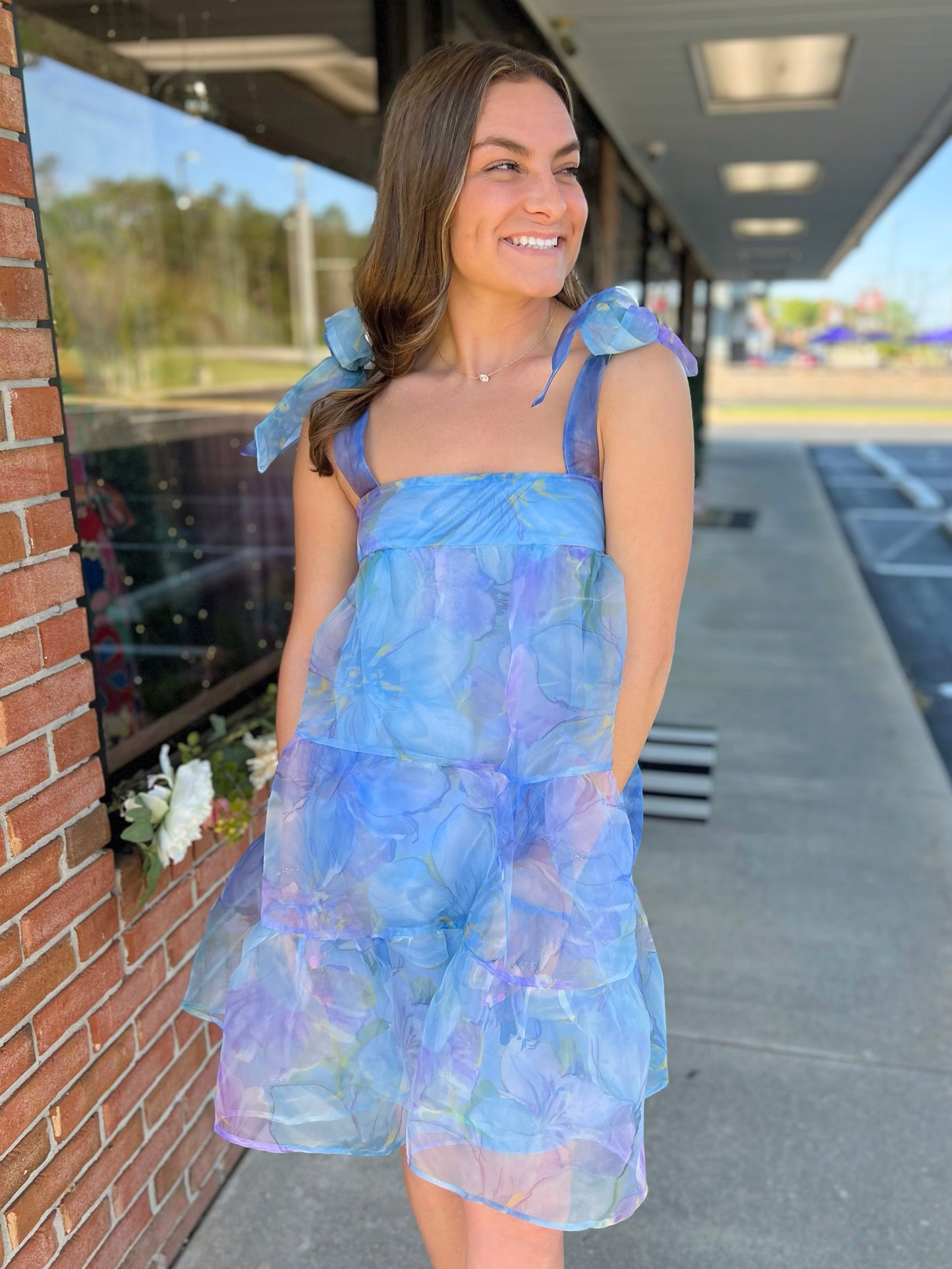 Flower Print Organza Mini Dress