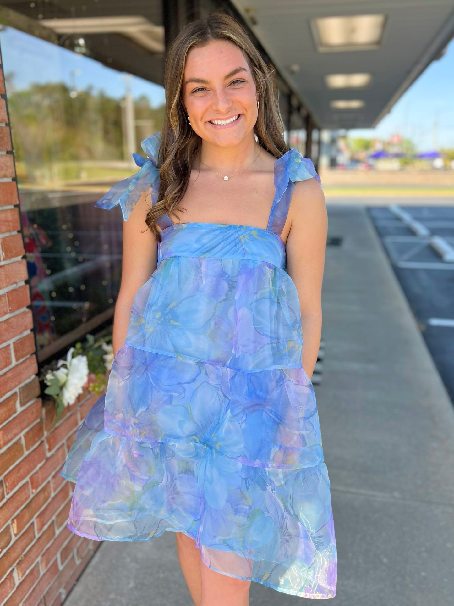 Flower Print Organza Mini Dress