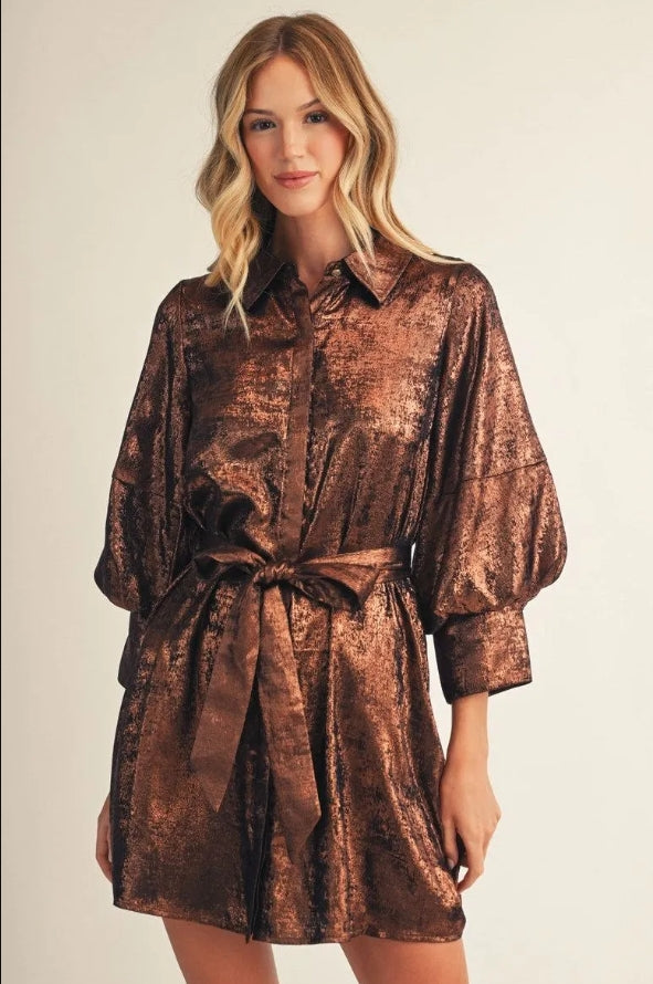 Brandi Metallic Dress