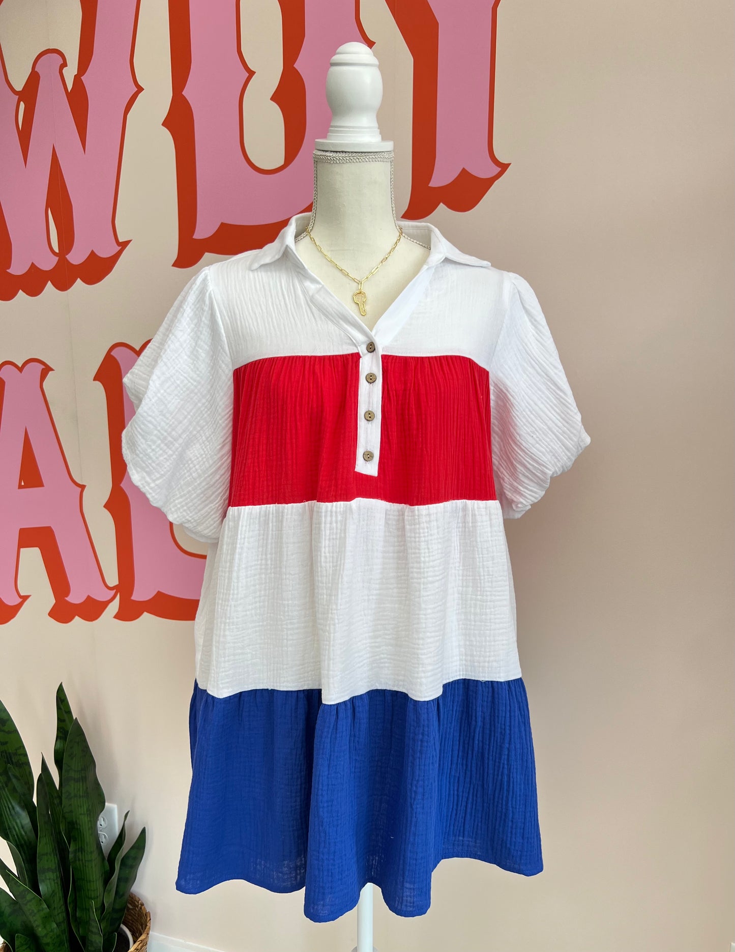 USA Colorblock Dress