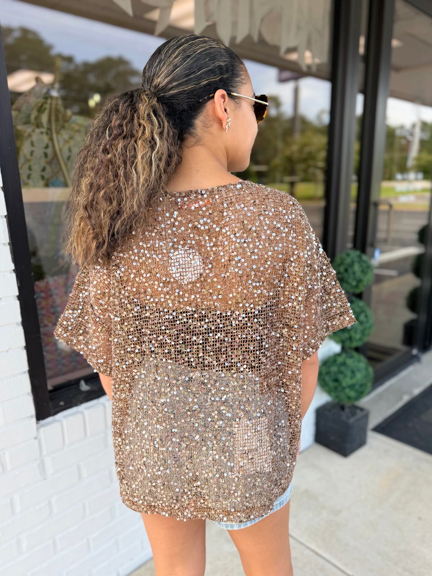 Sequin Mesh Top