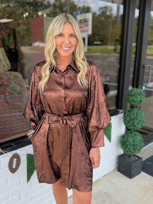 Brandi Metallic Dress