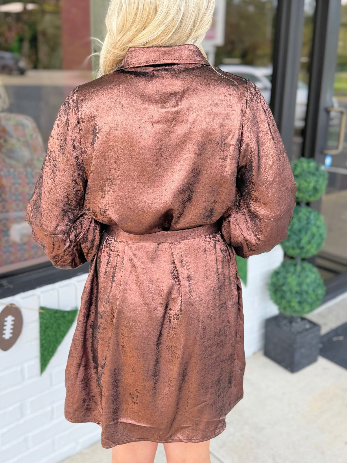 Brandi Metallic Dress