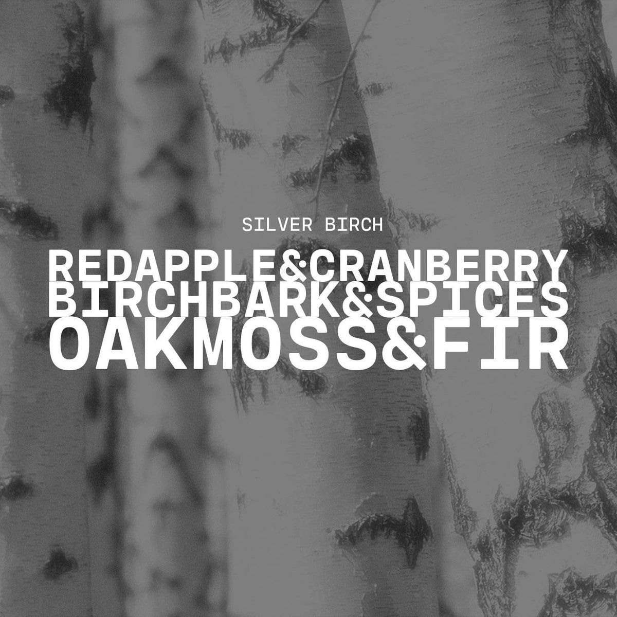 Car Freshener: Silver Birch