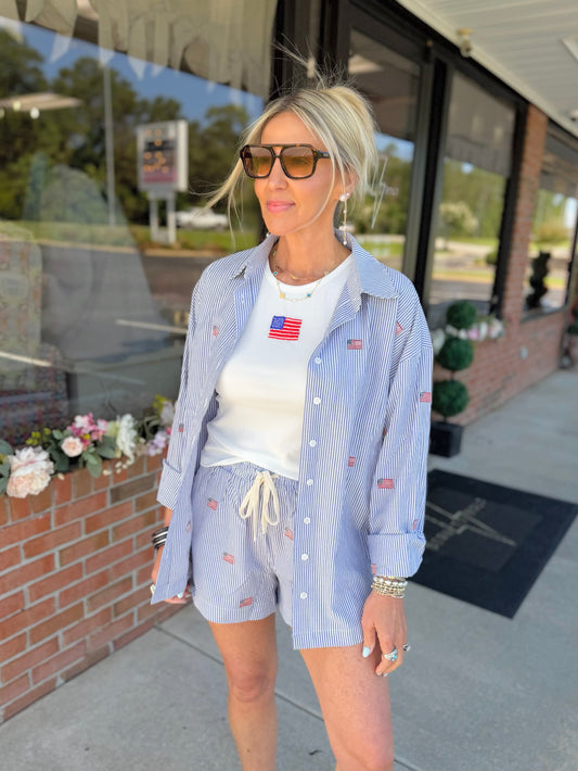 Stripe Flag Embroidered Shorts