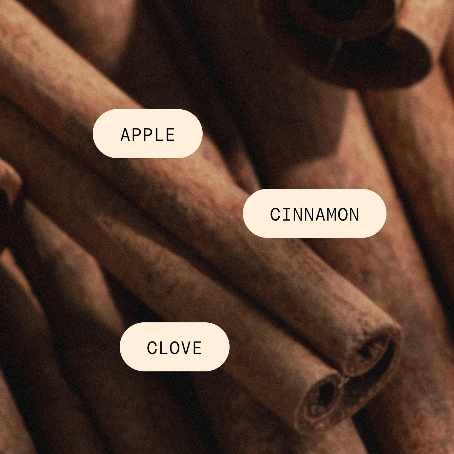 Cinnamon Cider - Pura Home Diffuser Scent Refill