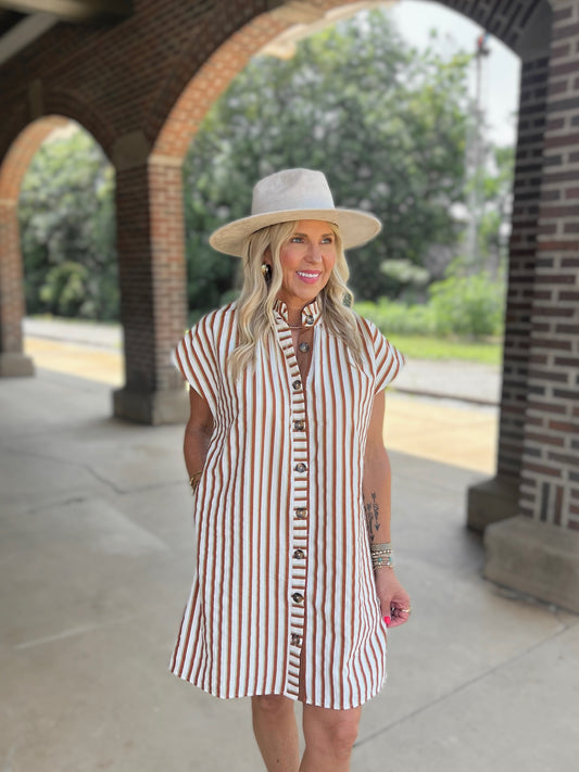 Striped Button Up Dress