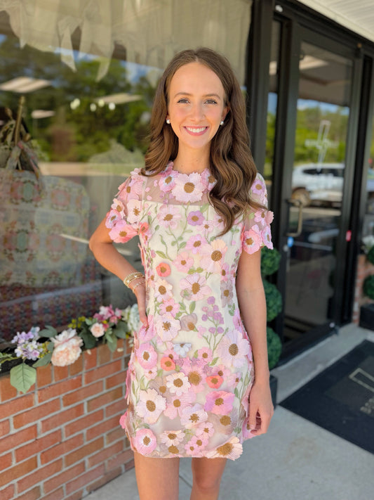 3D Floral Embroidery Mini Dress