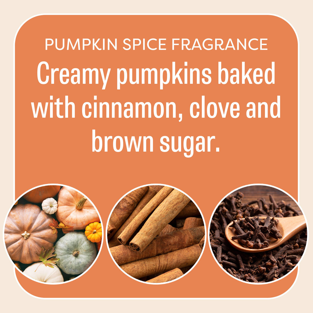Fresh Scents | You're the Pumpkin Sachets