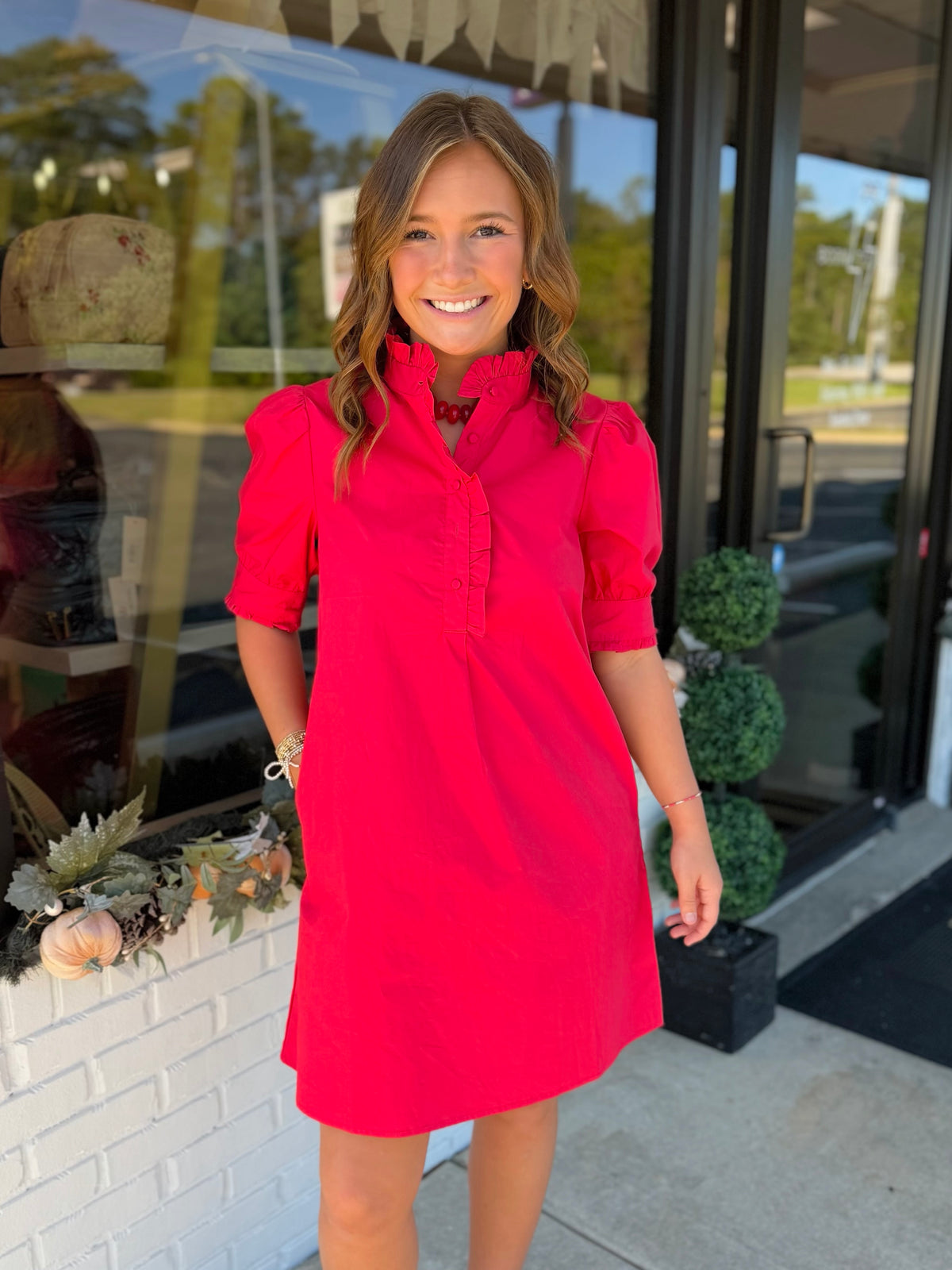 Raegan Mini Dress