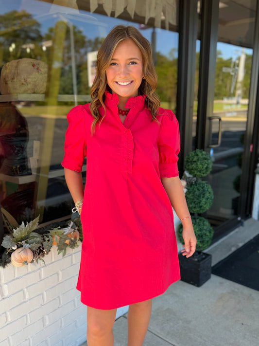 Raegan Mini Dress