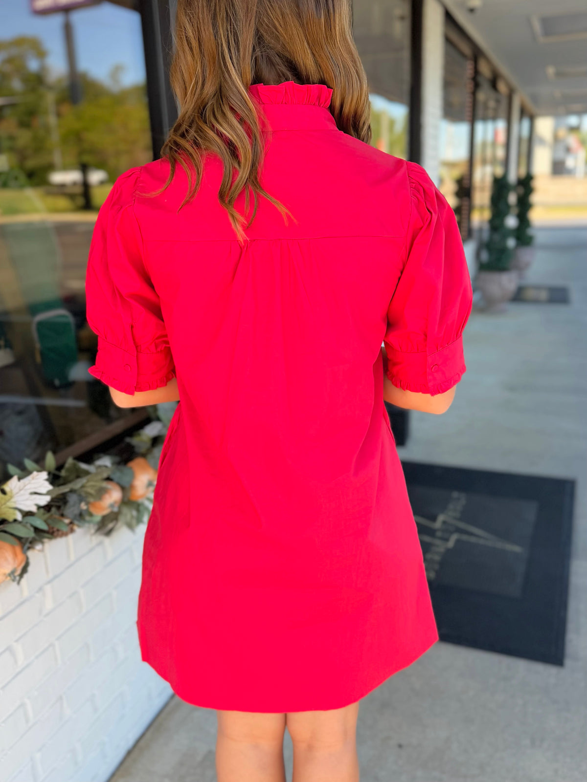 Raegan Mini Dress