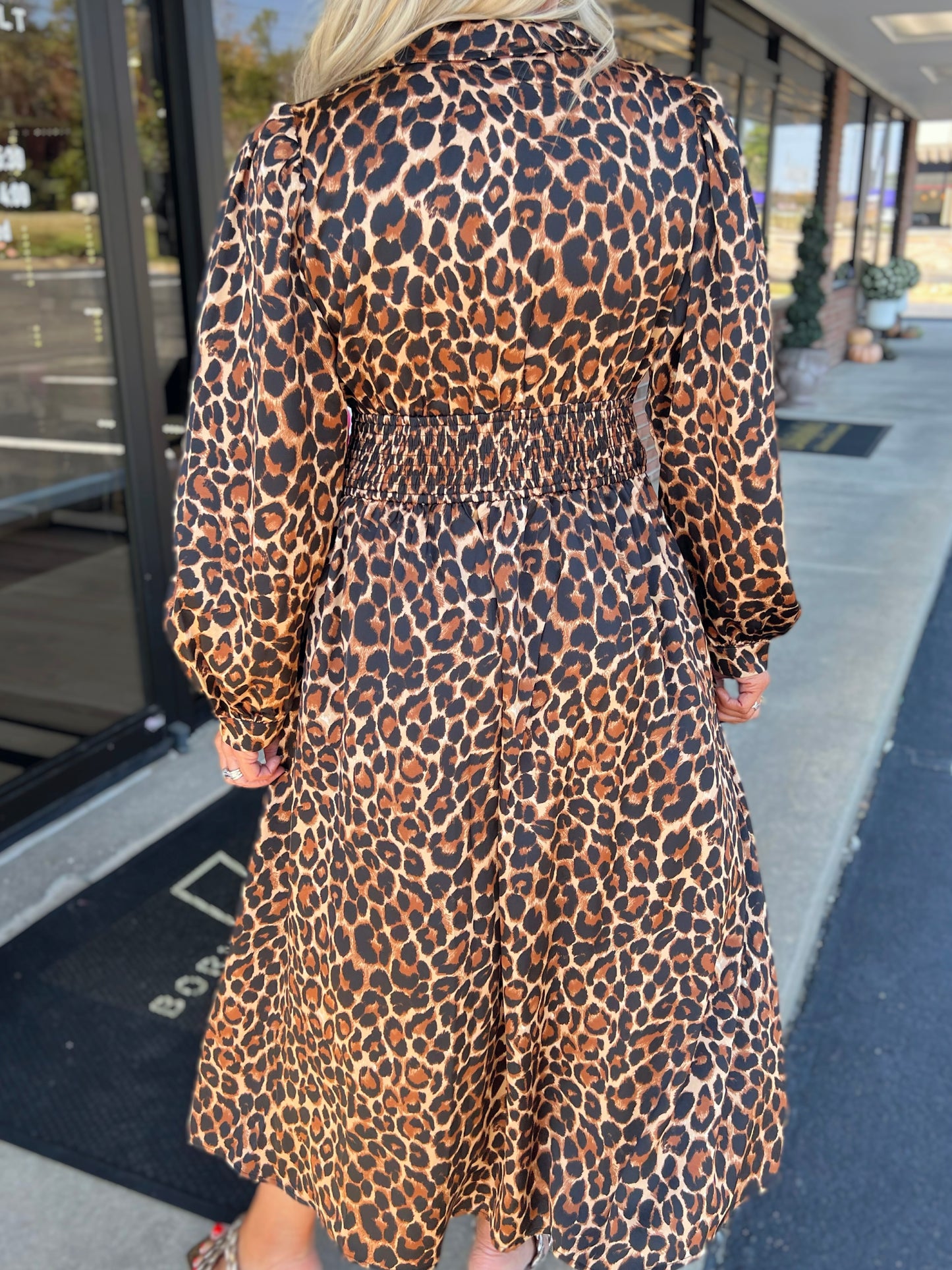 Leopard Long Sleeve Midi Dress