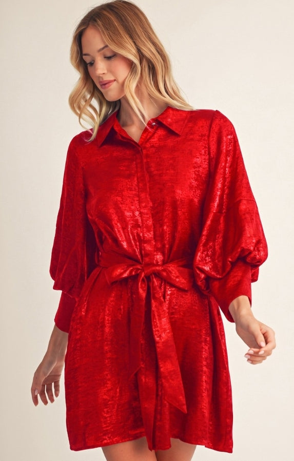 Brandi Metallic Dress