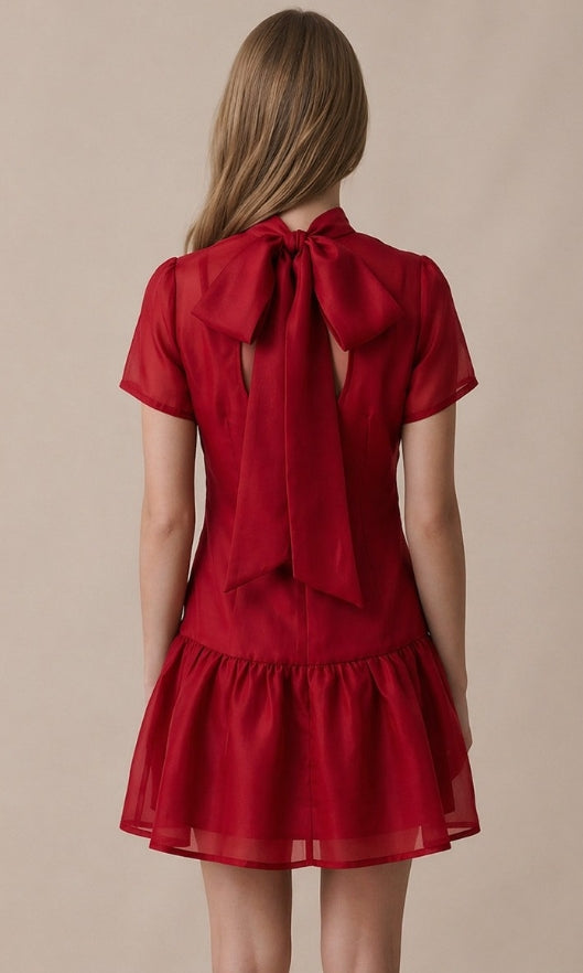Briley Mini Dress