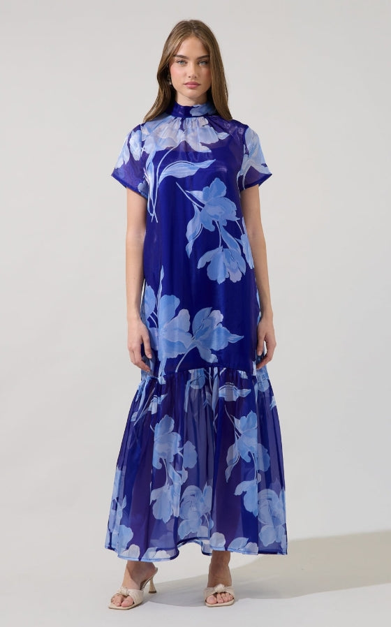 Organza Mockneck Maxi Dress