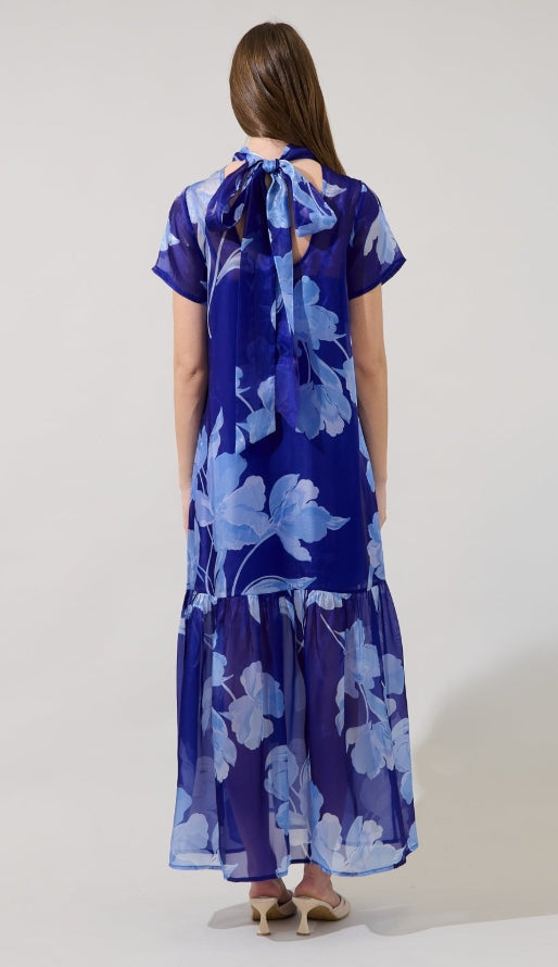Organza Mockneck Maxi Dress