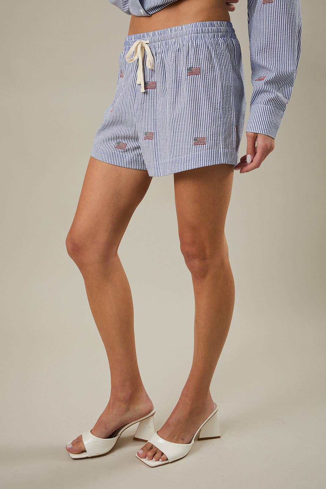 Stripe Flag Embroidered Shorts